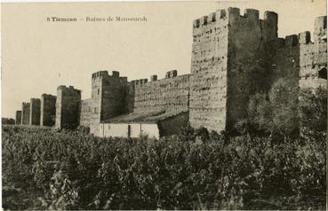 Iconographie - Tjecem - Ruines de Mansourah