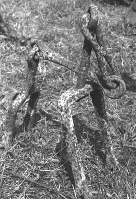 Iconographie - Exposition de matériel agricole, terrain de La Foudrière - Chaîne crochetère