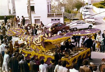 Iconographie - Fête des tulipes, un char