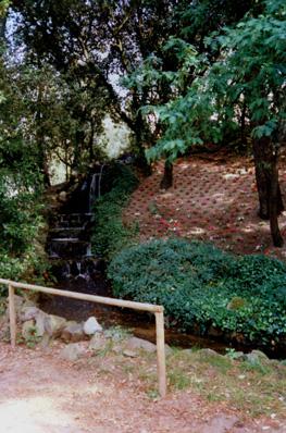 Iconographie - Le parc des Floralies - Un massif