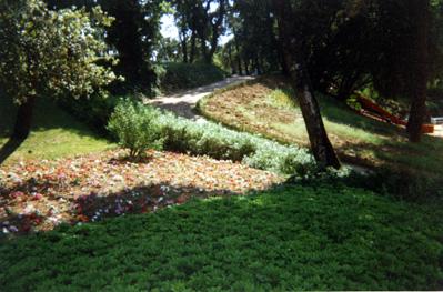 Iconographie - Le parc des Floralies - Massifs nouvellement plantés