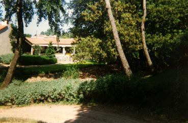 Iconographie - Le parc des Floralies - Massif fleurie