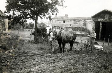 Iconographie - Edmond Douillard, de Badreau, et son cheval "Tarzan"