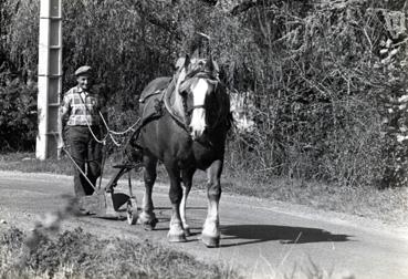 Iconographie - Louis Arnaud et son cheval 