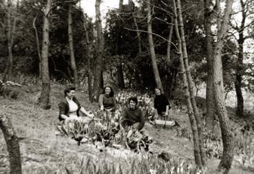 Iconographie - Les planteuses de bulbes au parc des Floralies
