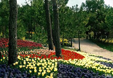 Iconographie - Le parc des Floralies