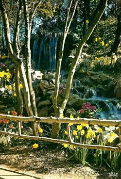 Iconographie - Le parc des Floralies - Pont et cascade