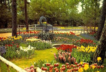 Iconographie - Le parc des Floralies