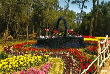 Iconographie - Le parc des Floralies - Un panier