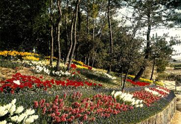 Iconographie - Le parc des Floralies