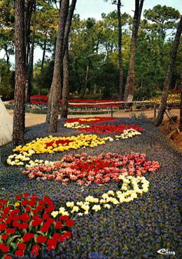 Iconographie - Le parc des Floralies