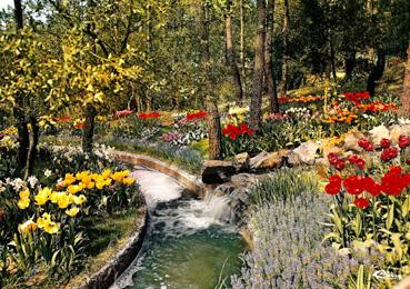 Iconographie - Le parc des Floralies - Cascade et ruisseau
