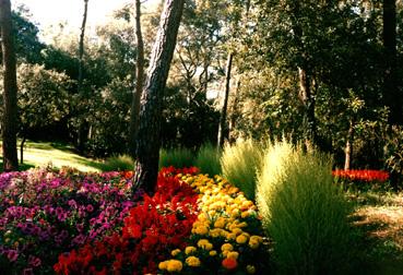 Iconographie - Les Floralies - Parterre fleuri