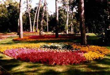 Iconographie - Les Floralies - Parterre en fleurs