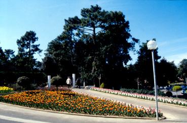 Iconographie - Fleurs du parc des Floralies près du parking