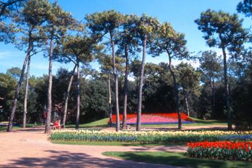 Iconographie - Fleurs du parc des Floralies