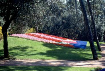 Iconographie - Fleurs du parc des Floralies