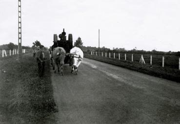 Iconographie - L'arrivée de la locomobile pour le battage à La Morlière