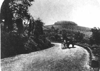 Iconographie - Le Bois de la Folie, vue prise de la route de La Flocellière