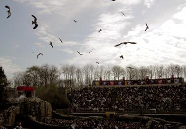 Iconographie - Le Grand parc du Puy du Fou - Le spectacle des oiseaux