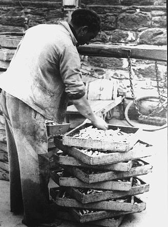 Iconographie - Caisses de sardine