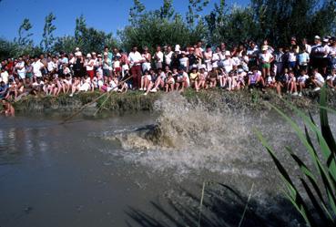 Iconographie - Course de yoles aux Olympiades maraîchines