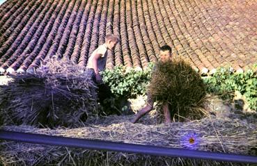 Iconographie - Enfants sur le pailler du batage