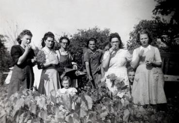 Iconographie - Famille Danieau, des Forges, en vendanges