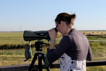 Iconographie - La réserve naturelle de la Vacherie - Moyen d'observation