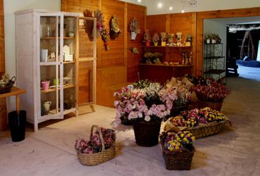 Iconographie - Vendée Fleurs - Le magasin public