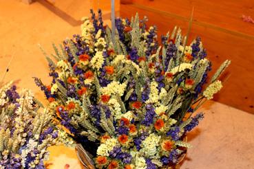 Iconographie - Vendée Fleurs - Production de fleurs séchées