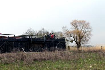 Iconographie - L'observatoire de la réserve naturelle des marais de la Vacherie