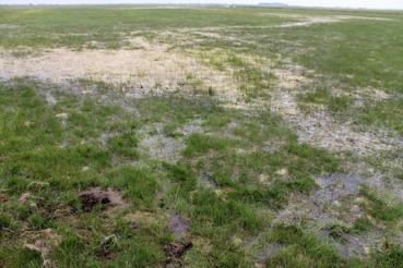 Iconographie - Terre détrempée à la réserve naturelle des marais de la Vacherie