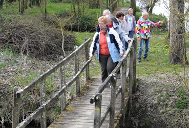 Iconographie - Randonneurs dans Le Bois des Laves 