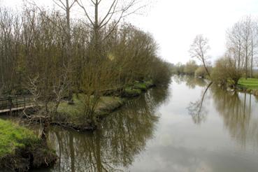 Iconographie - Le Bois des Laves et le canal de Gressaudes