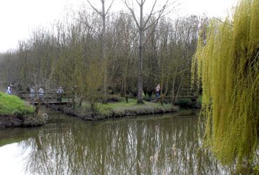 Iconographie - Le Bois des Laves et le canal de Gressaudes