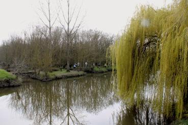 Iconographie - Le Bois des Laves et le canal de Gressaudes