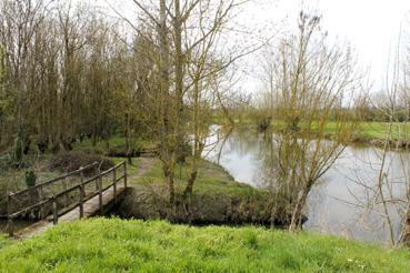 Iconographie - Le Bois des Laves et le canal de Gressaudes