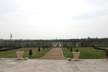 Iconographie - Château de la Sebrandière - L'environnement planté de vignes