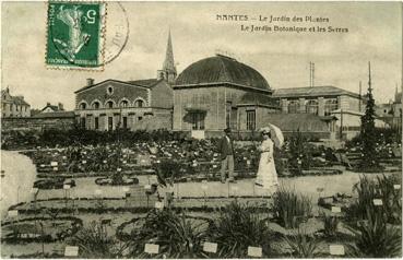 Iconographie - Le jardin des plantes - Le jardin botanique et les serres