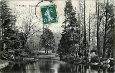 Iconographie - Un coin du jardin des plantes