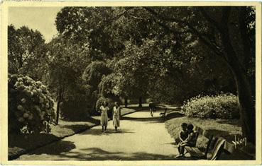 Iconographie - Un coin du jardin des plantes