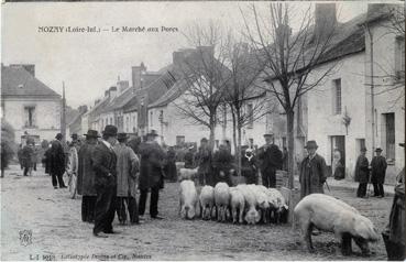 Iconographie - Le marché aux porcs