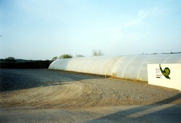 Iconographie - Maison Royer, production d'escargots - Culture pour la nourriture des escargots