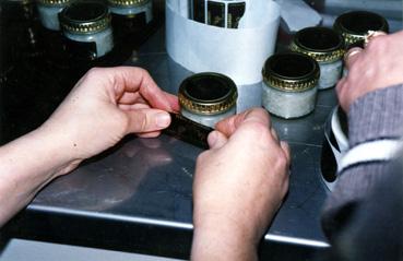 Iconographie - Maison Royer, production d'escargots - La mise en bocaux