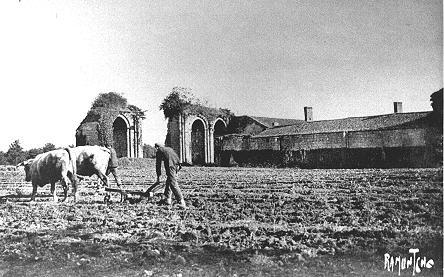 Iconographie - Labour devant l'Abbaye de la Grainetiere