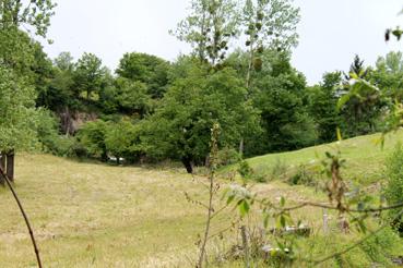 Iconographie - Le site du moulin à foulon