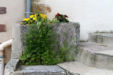 Iconographie - Baque en pierres des Plochères