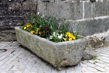 Iconographie - Auge en granit utilisée en bac à fleurs