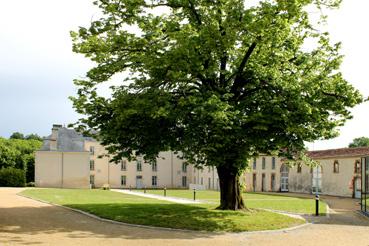 Iconographie - Domaine Saint-Sauveur, cour arrière